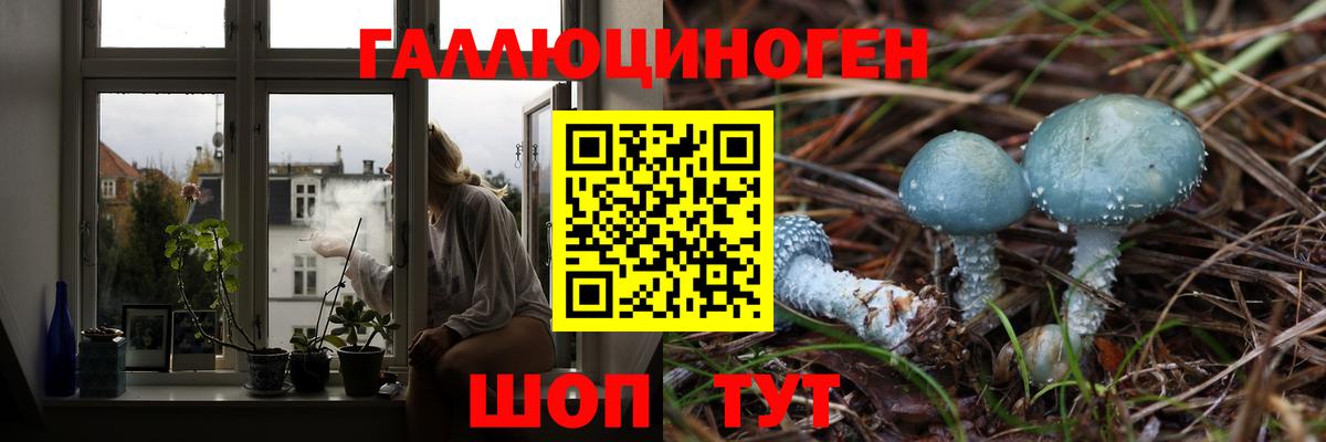 Псилоцибиновые грибы Psilocybe  Вход с VPN  Рубцовск 